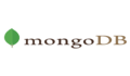 MongoDB programming icon (1)